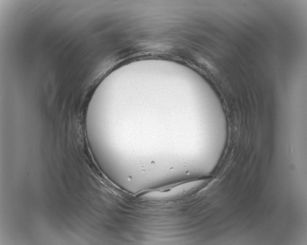 X0000063521354200602172203