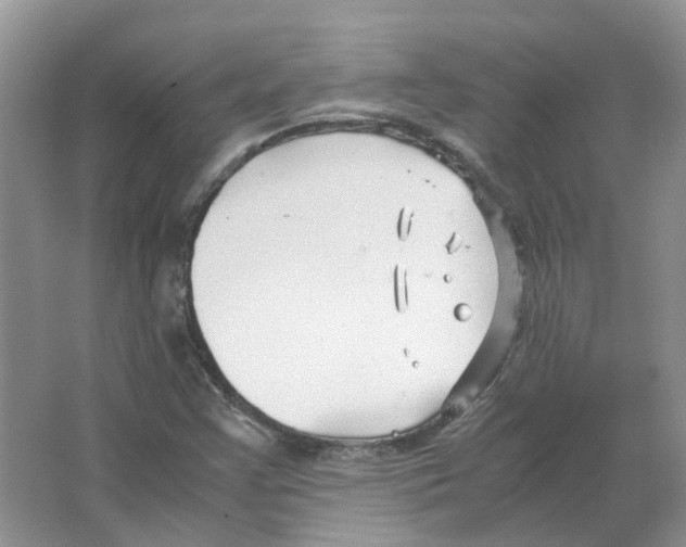 X0000063521355200602172203