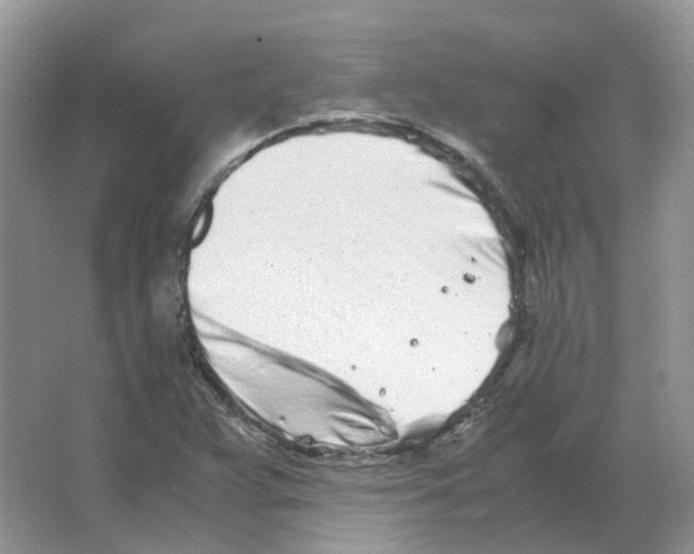 X0000063521359200602172202