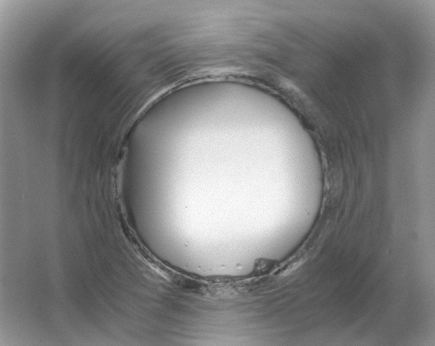 X0000063521361200602172202