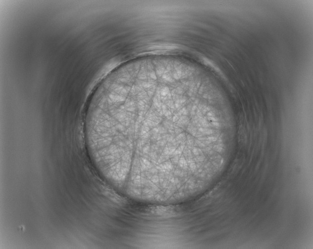 X0000063521362200602172202