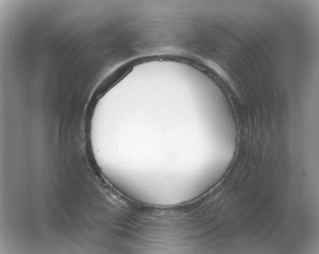 X0000063521364200602172202