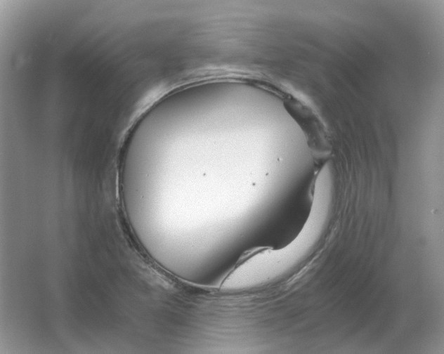 X0000063521365200602172202