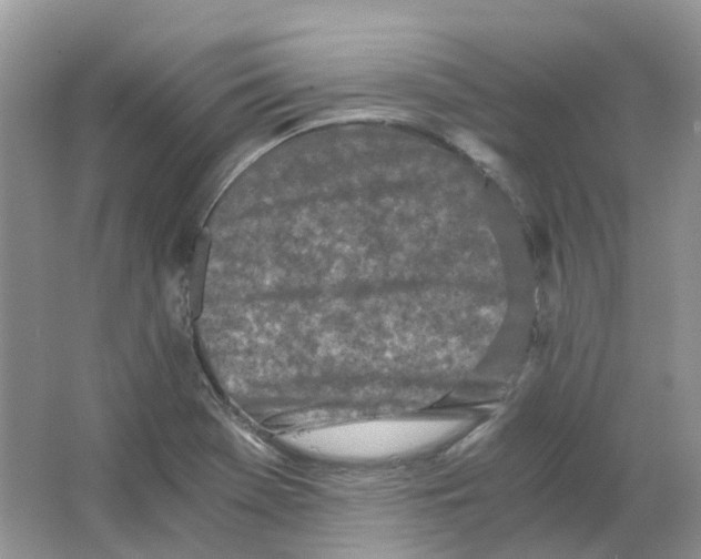 X0000063521369200602172202