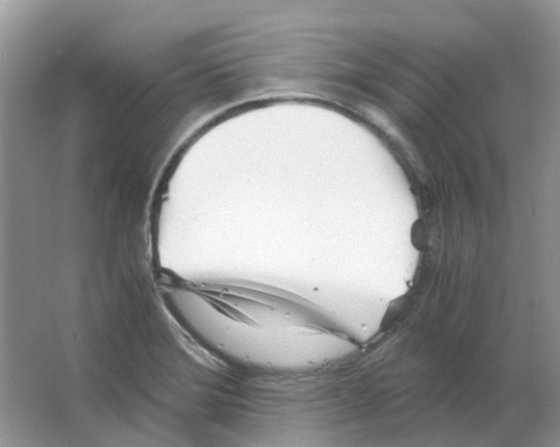 X0000063521372200602172202