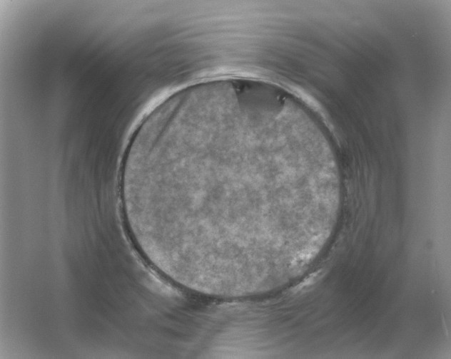 X0000063521373200602172202