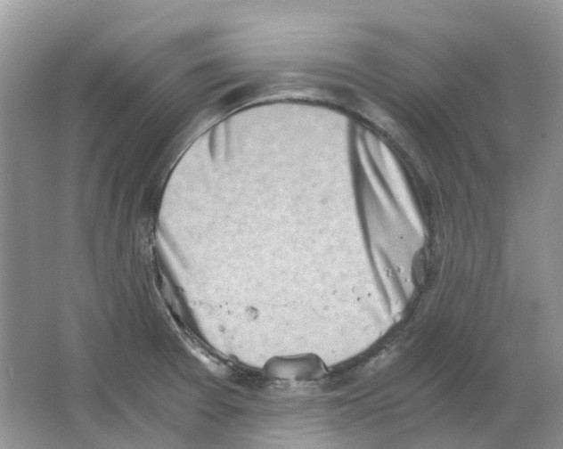 X0000063521377200602172202