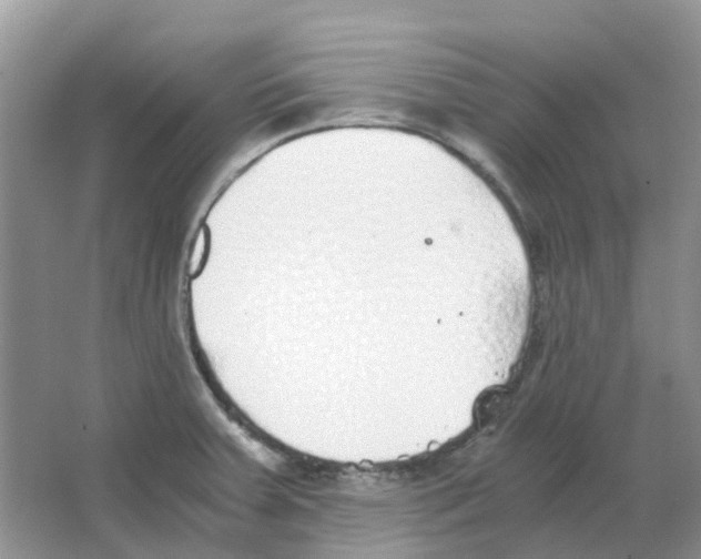 X0000063521379200602172202