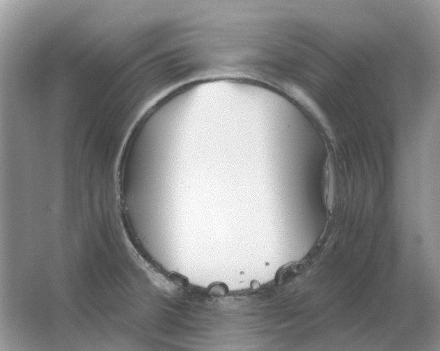 X0000063521380200602172202