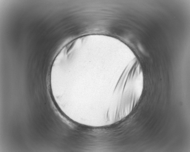 X0000063521383200602172202