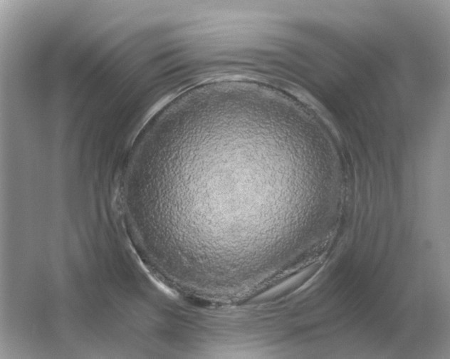 X0000063521385200602172202