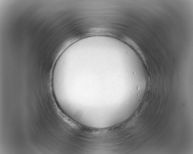 X0000063521386200602172202