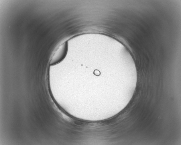 X0000063521387200602172202