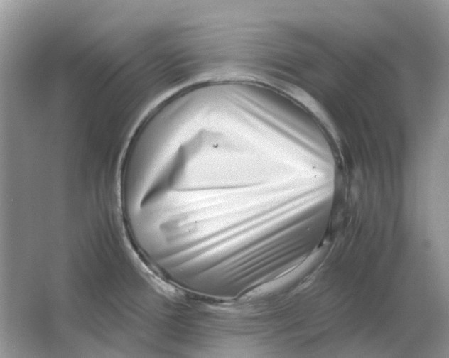 X0000063521388200602172202