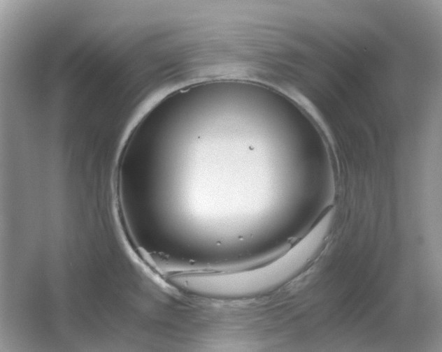 X0000063521389200602172202