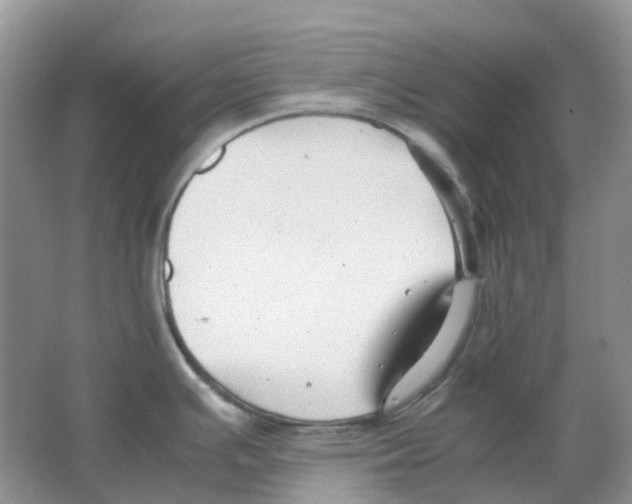 X0000063521391200602172202