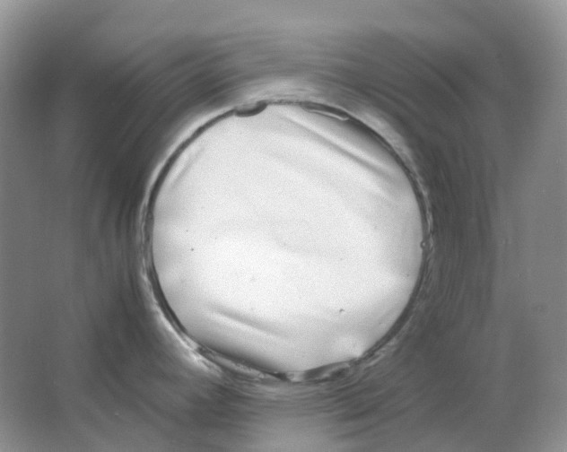 X0000063521392200602172202