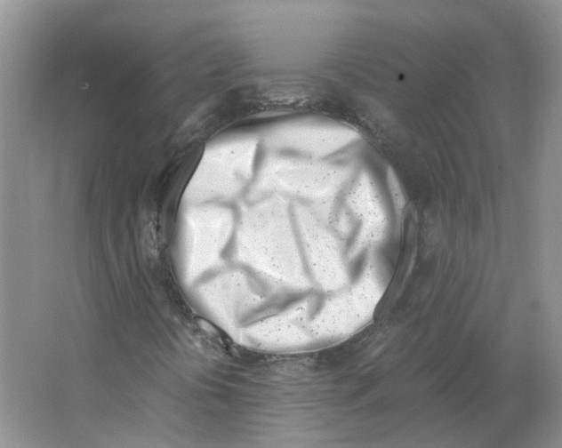 X0000063521394200602172201