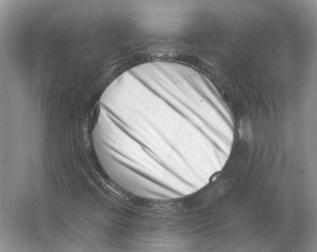 X0000063521396200602172201