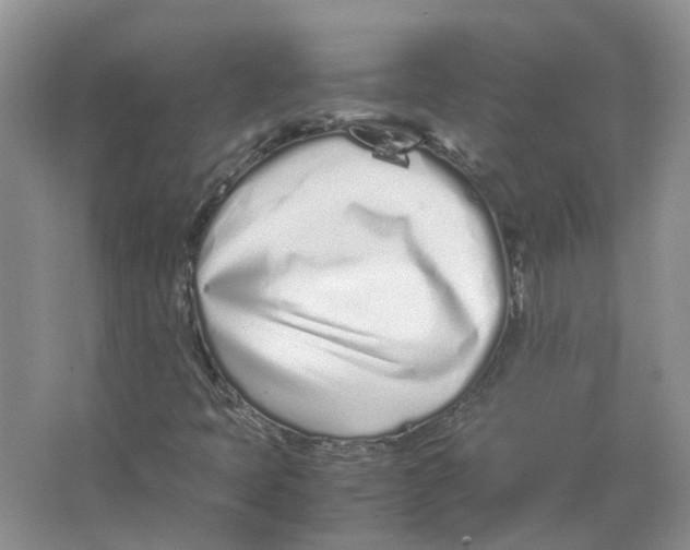 X0000063521397200602172201