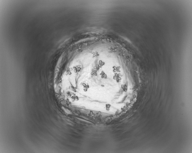 X0000063521399200602172201