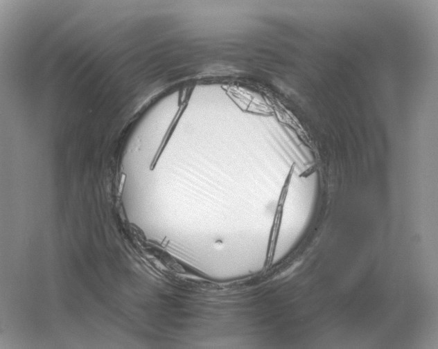 X0000063521401200602172201