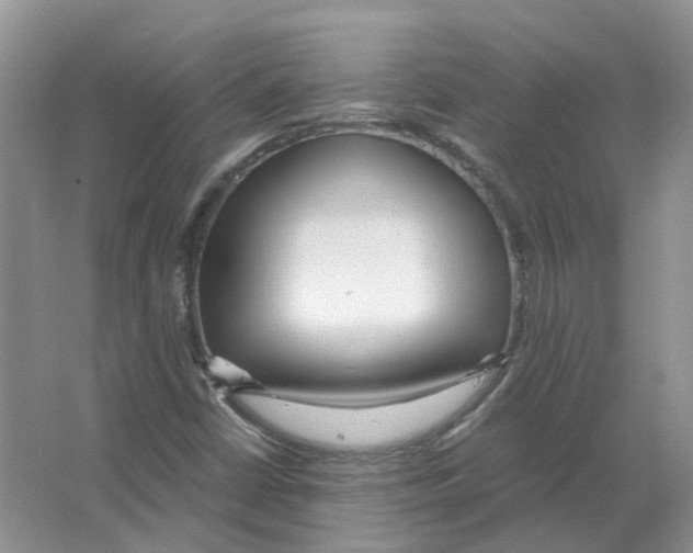 X0000063521402200602172201