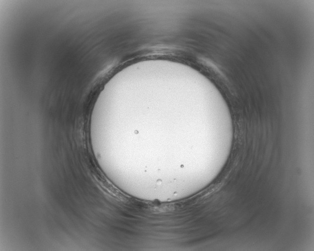 X0000063521403200602172201