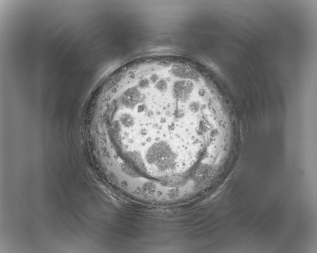 X0000063521405200602172201