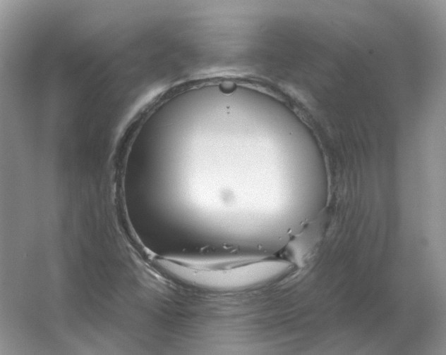 X0000063521406200602172201