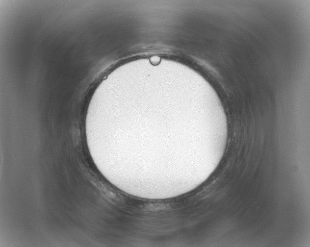 X0000063521407200602172201