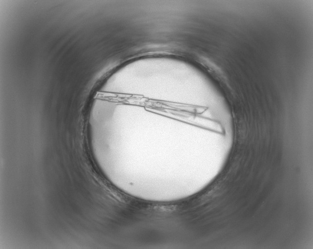 X0000063521411200602172201