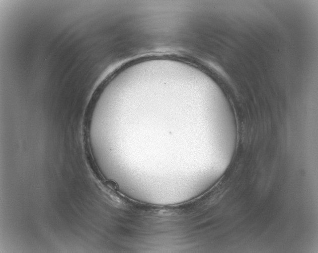 X0000063521412200602172201