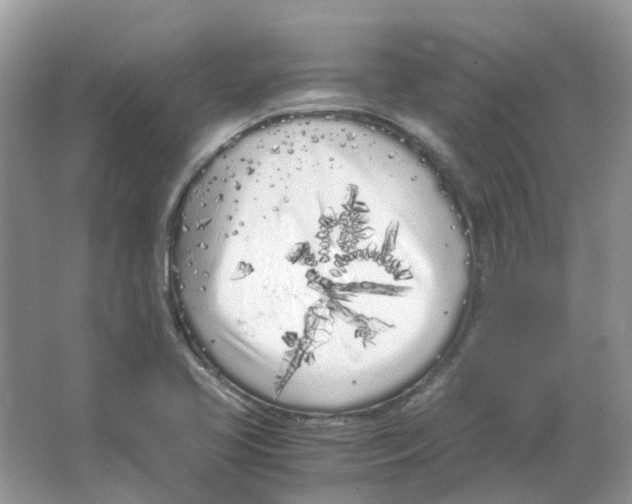 X0000063521413200602172201