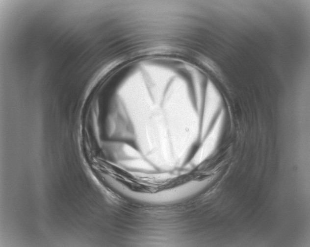 X0000063521418200602172202