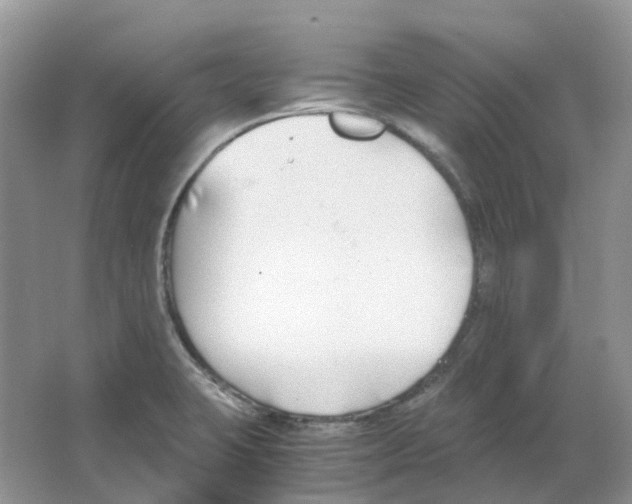 X0000063521423200602172202