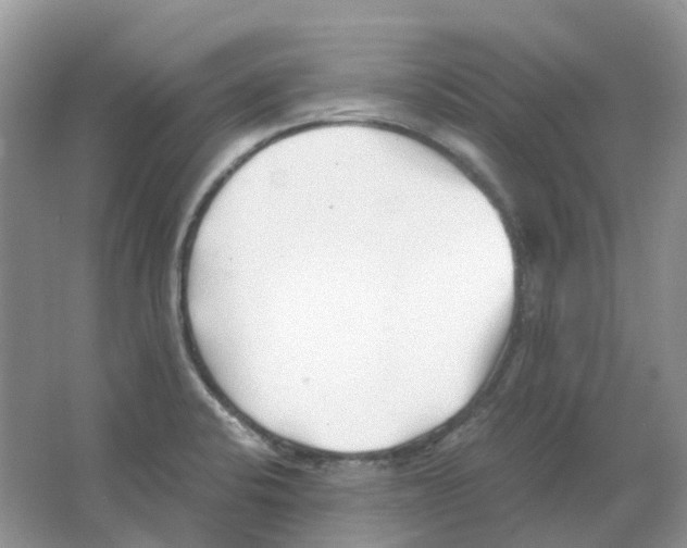 X0000063521424200602172202