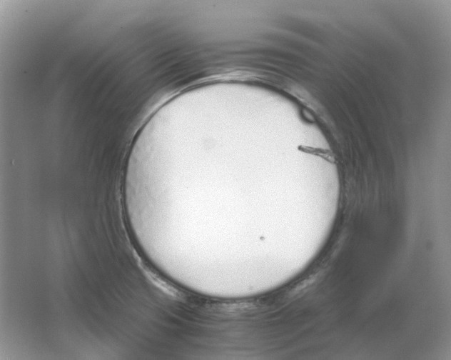 X0000063521425200602172202