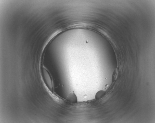 X0000063521426200602172202