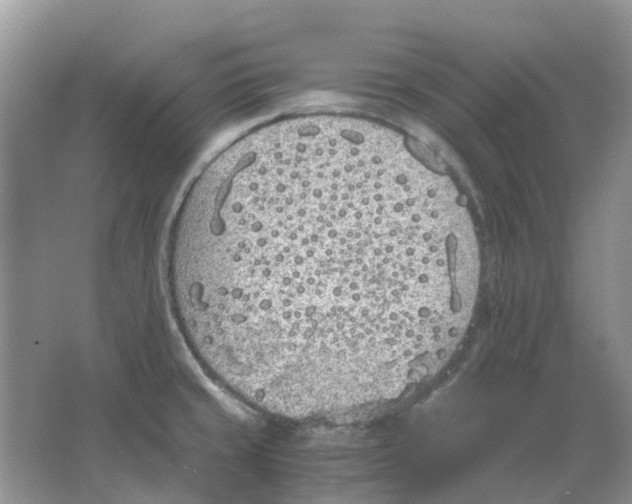 X0000063521429200602172202