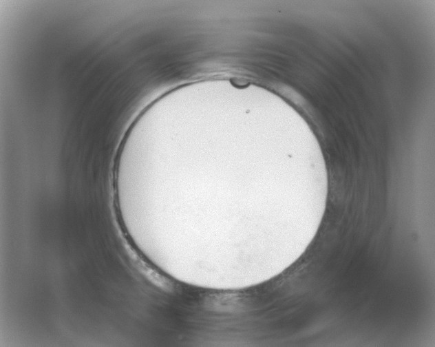 X0000063521431200602172202