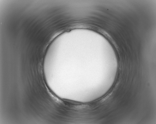 X0000063521433200602172202