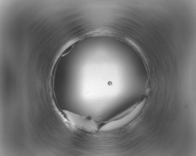 X0000063521434200602172202