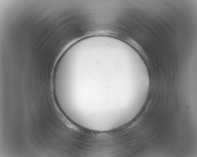 X0000063521436200602172202