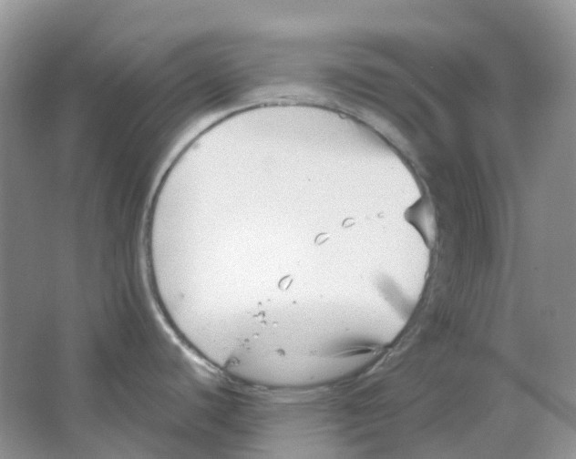 X0000063521440200602172202