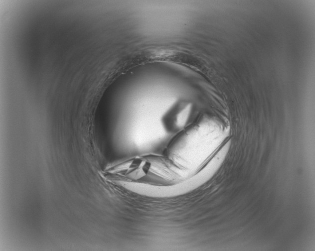 X0000063521441200602172201