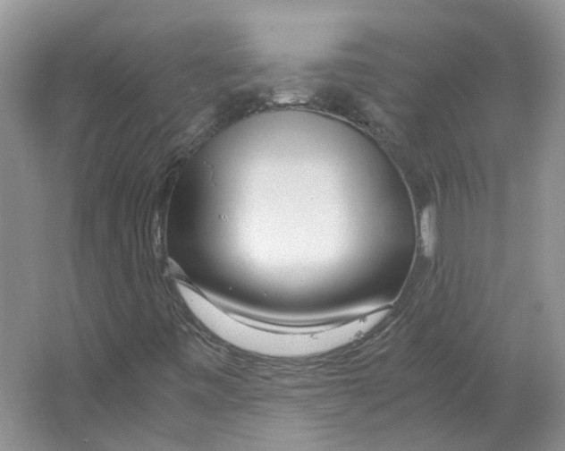 X0000063521443200602172201