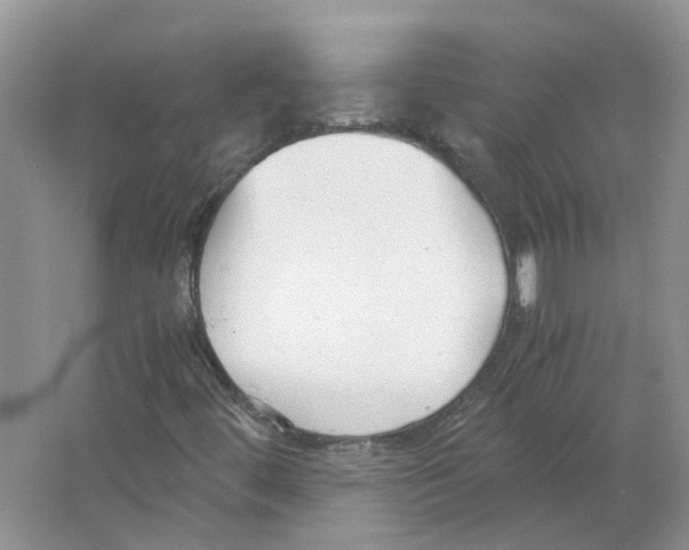 X0000063521444200602172201