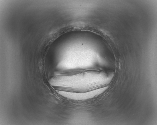 X0000063521445200602172201