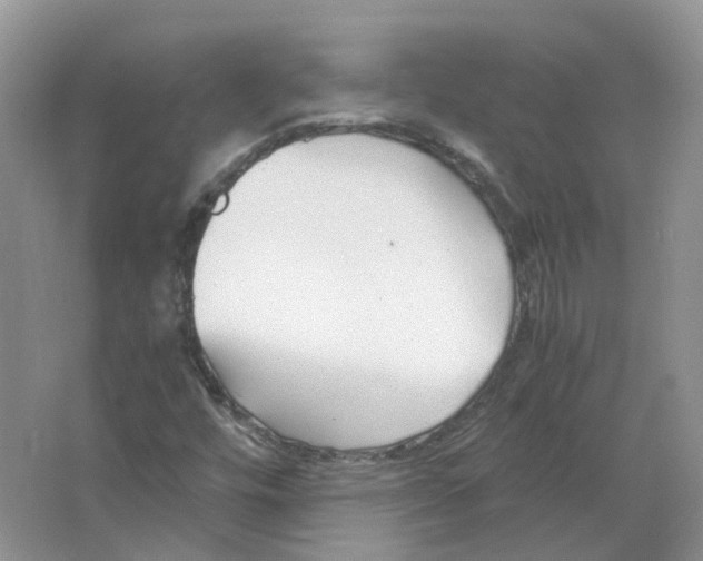 X0000063521448200602172201